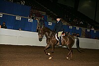 r12_05__0203 proof