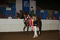 r12_05__0208 proof