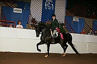 r12_05__0242 proof