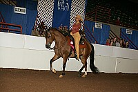 r12_05__0248 proof
