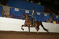 r12_05__0254 proof