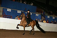 r12_05__0255 proof