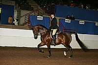 r12_05__0271 proof