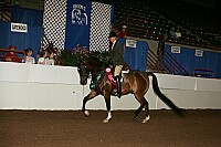 r12_05__0284 proof