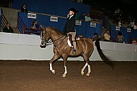 r12_05__0324 proof