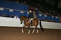 r12_05__0885 proof