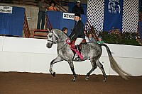 r12_05__0896 proof