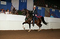 r12_05__0372 proof