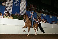 r12_05__0462 proof