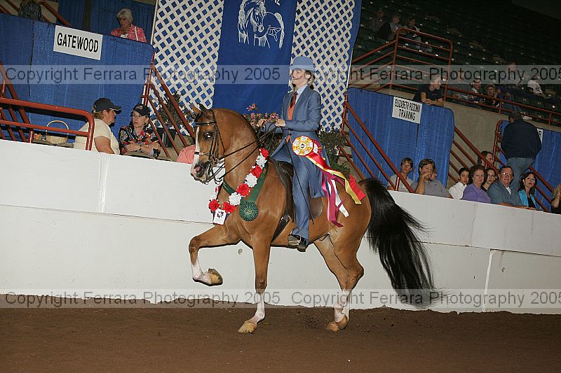 Proof r12_05__1289