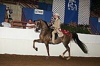 r12_05__0489 proof