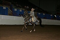 r12_05__0496 proof