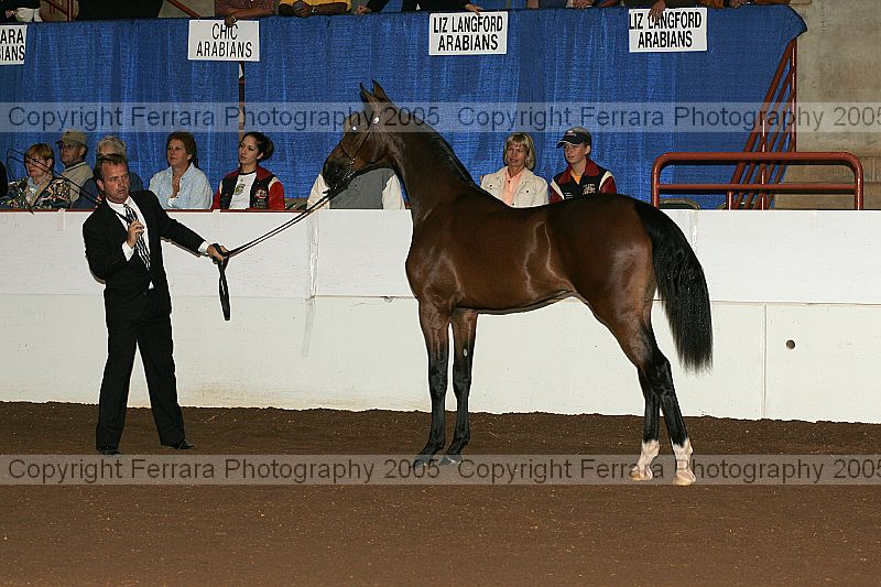Proof r12_05__0794