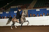 r12_05__0829 proof