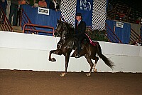 r12_05__0833 proof