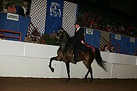 r12_05__0834 proof