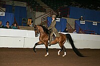 r12_05__0863 proof