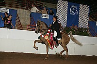 r12_05__1119 proof