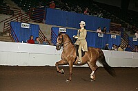 r12_05__1243 proof