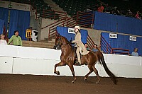 r12_05__1244 proof