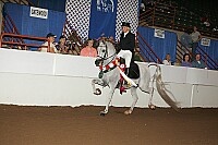 r12_05__1302 proof