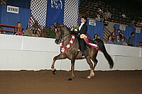 r12_05__1313 proof