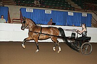 r12_05__1343 proof