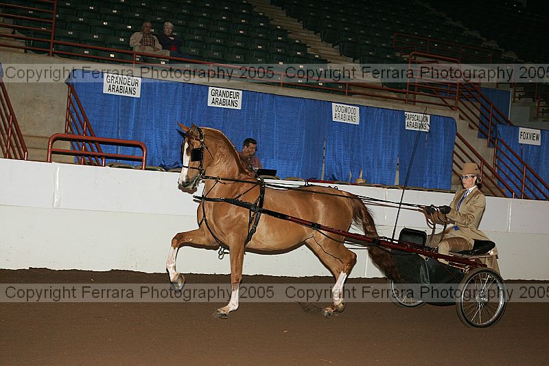 Proof r12_05__1355