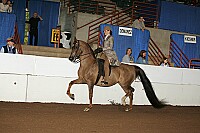 r12_05__1361 proof