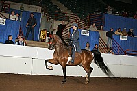 r12_05__1363 proof