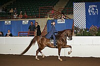 r12_05__1398 proof