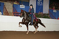 r12_05__1408 proof