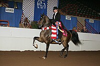 r12_05__1411 proof