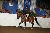 r12_05__1494 proof