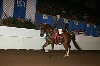 r12_05__1496 proof