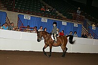 r12_05__1529 proof