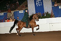 r12_05__1584 proof