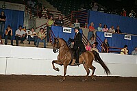 r12_05__1619 proof