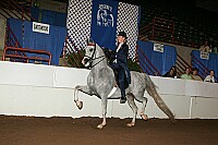 r12_05__1623 proof