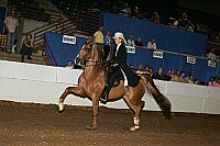 r12_05__1561 proof