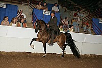 r12_05__1596 proof