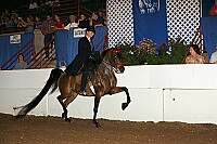 r12_05__1604 proof