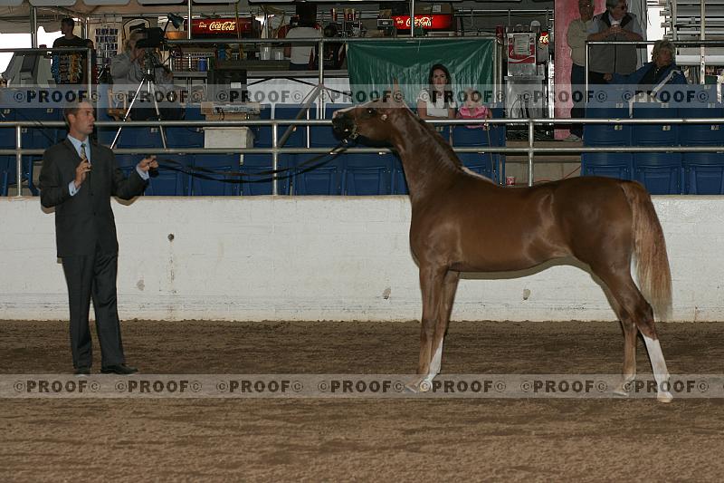 Proof r7_05__0456