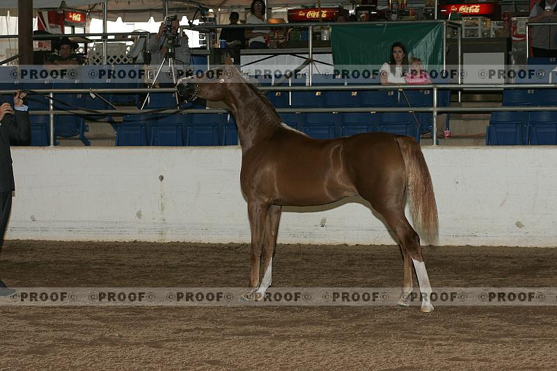 Proof r7_05__0457