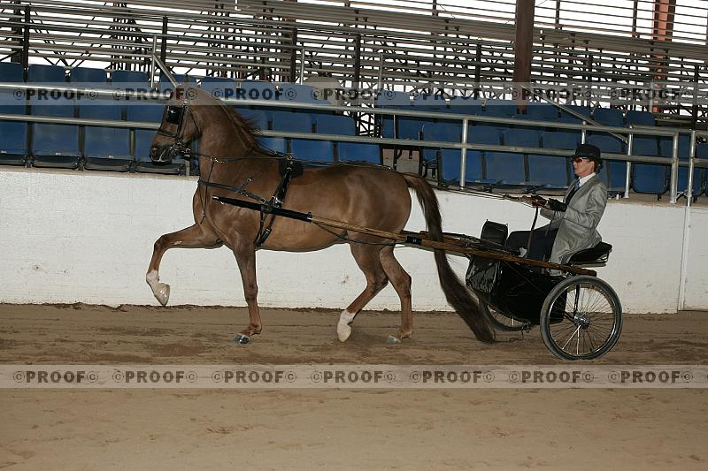 Proof r7_05__0513