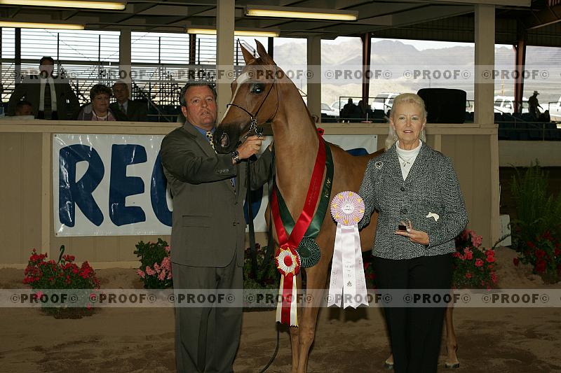 Proof r7_05__0906
