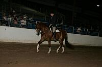 r7_05__1493 proof