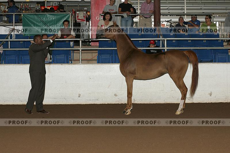 Proof r7_05__1525