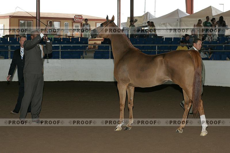 Proof r7_05__1528