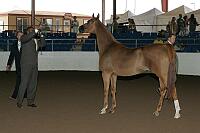r7_05__1528 proof